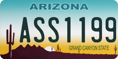 AZ license plate ASS1199