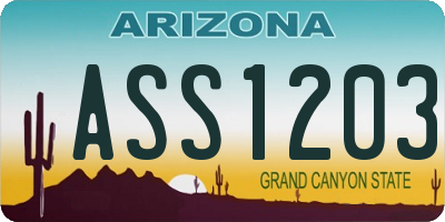 AZ license plate ASS1203