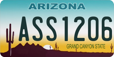 AZ license plate ASS1206
