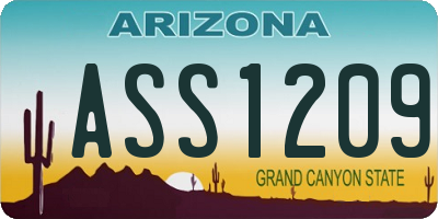 AZ license plate ASS1209