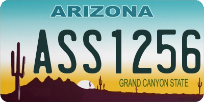 AZ license plate ASS1256