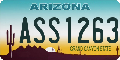 AZ license plate ASS1263