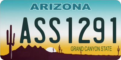 AZ license plate ASS1291
