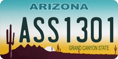 AZ license plate ASS1301