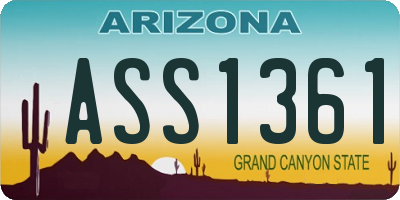 AZ license plate ASS1361