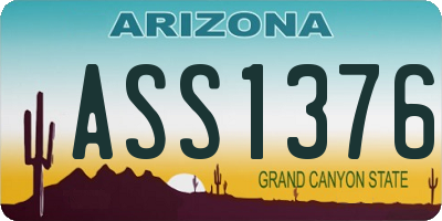 AZ license plate ASS1376