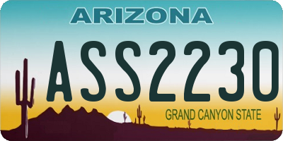 AZ license plate ASS2230