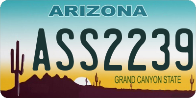 AZ license plate ASS2239