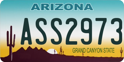 AZ license plate ASS2973