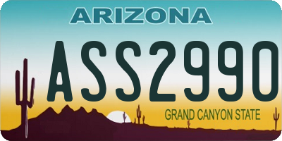 AZ license plate ASS2990