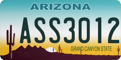 AZ license plate ASS3012