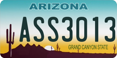 AZ license plate ASS3013
