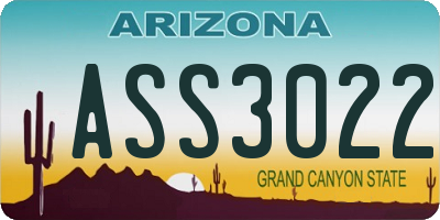 AZ license plate ASS3022