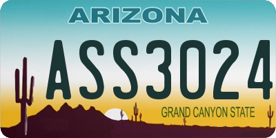 AZ license plate ASS3024