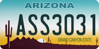 AZ license plate ASS3031