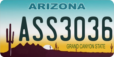 AZ license plate ASS3036