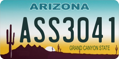 AZ license plate ASS3041
