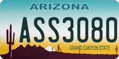 AZ license plate ASS3080