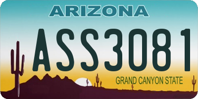 AZ license plate ASS3081