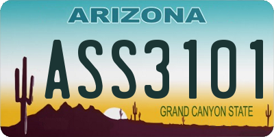 AZ license plate ASS3101