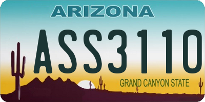 AZ license plate ASS3110