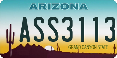 AZ license plate ASS3113