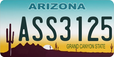 AZ license plate ASS3125