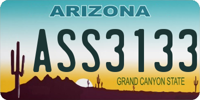 AZ license plate ASS3133
