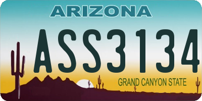 AZ license plate ASS3134