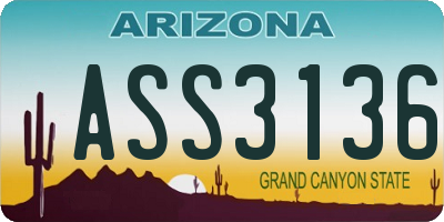 AZ license plate ASS3136