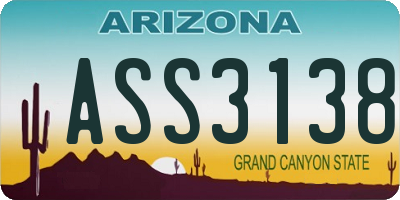 AZ license plate ASS3138