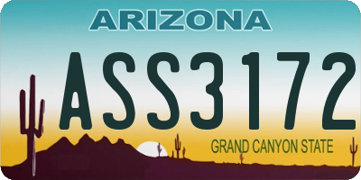AZ license plate ASS3172