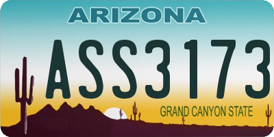 AZ license plate ASS3173