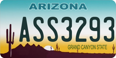 AZ license plate ASS3293