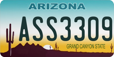 AZ license plate ASS3309