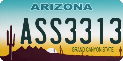 AZ license plate ASS3313