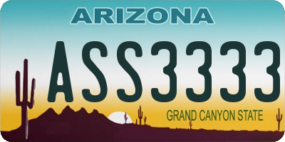 AZ license plate ASS3333