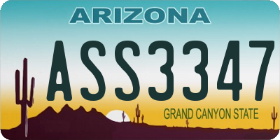 AZ license plate ASS3347