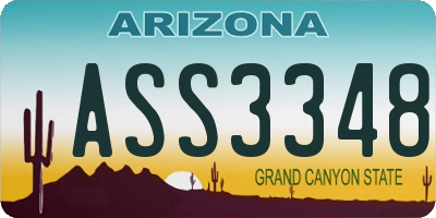 AZ license plate ASS3348