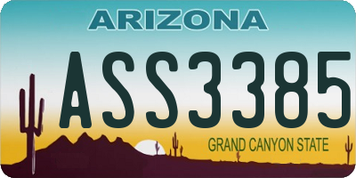 AZ license plate ASS3385