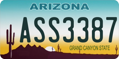 AZ license plate ASS3387