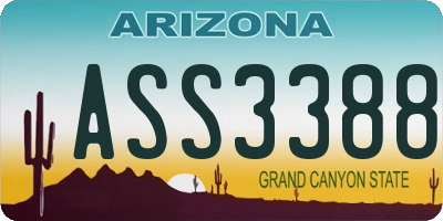 AZ license plate ASS3388