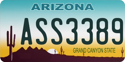 AZ license plate ASS3389