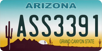 AZ license plate ASS3391