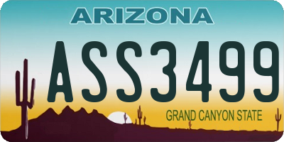 AZ license plate ASS3499