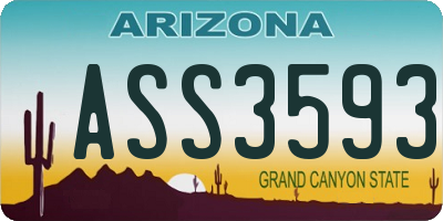 AZ license plate ASS3593