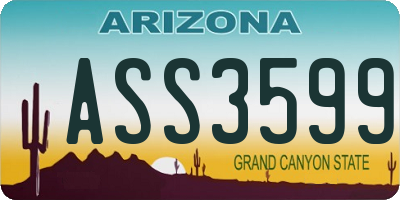 AZ license plate ASS3599