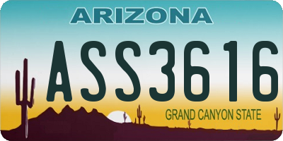 AZ license plate ASS3616