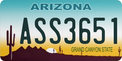 AZ license plate ASS3651