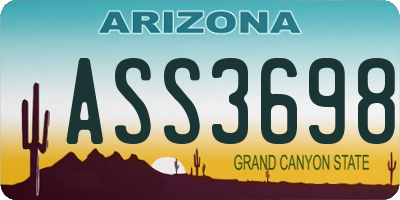 AZ license plate ASS3698